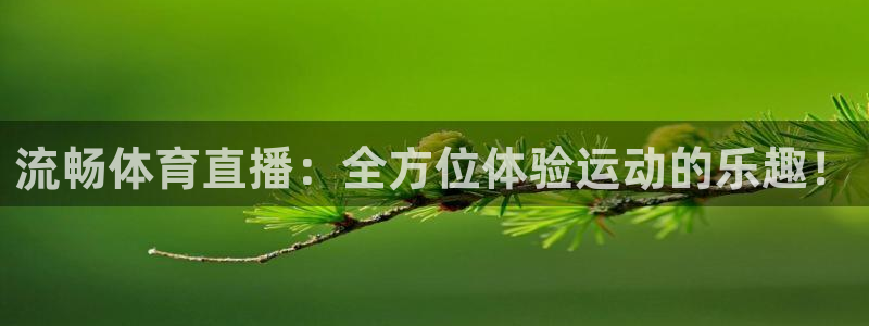 体育直播看球吧：流畅体育直播：全方位体验运动的乐趣！