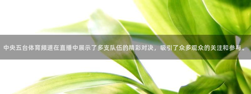 24直播吧 看球吧：中央五台体育频道在直播中展示了多支队伍的精彩对决，吸引了众多观众的关注和参与。