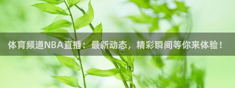 看球吧足球直播：体育频道NBA直播：最新动态，精彩瞬间等你来体验！