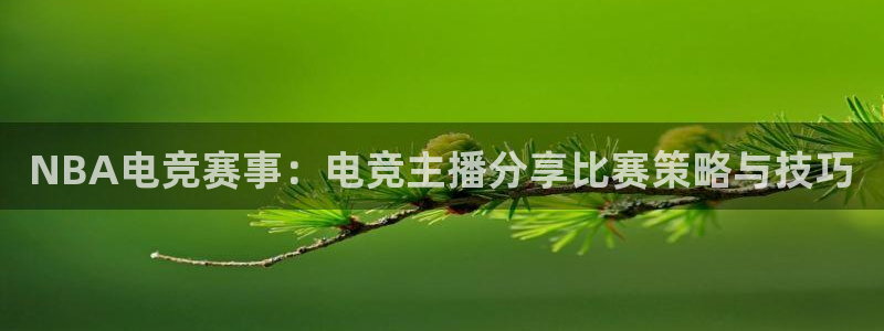 看球吧中超直播：NBA电竞赛事：电竞主播分享比赛策略与技巧