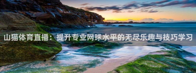 看球吧在线观看：山猫体育直播：提升专业网球水平的无尽乐趣与技巧学习