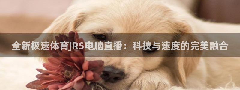 篮球比赛直播在线观看球吧网：全新极速体育JRS电脑直播：科技与速度的完美融合