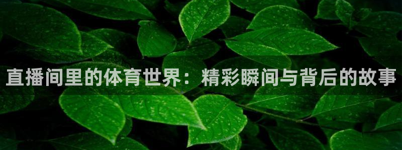 看球吧jrs低调直播：直播间里的体育世界：精彩瞬间与背后的故事