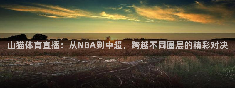 看球吧nba在线高清免费：山猫体育直播：从NBA到中超，跨越不同圈层的精彩对决