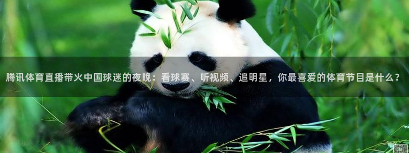 看球吧直播cba直播：腾讯体育直播带火中国球迷的夜晚：看球赛、听视频、追明星，你最喜爱的体育节目是什么？