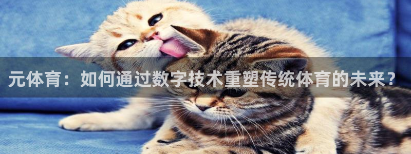 看球吧直播在线观看：元体育：如何通过数字技术重塑传统体育的未来？