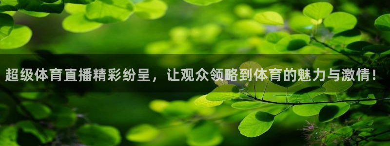 看球吧直播在线入口：超级体育直播精彩纷呈，让观众领略到体育的魅力与激情！