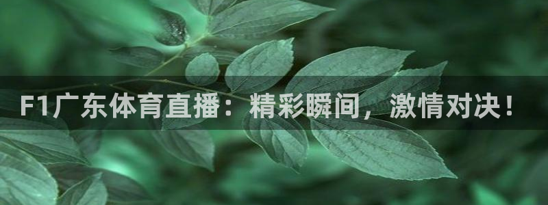 886直播看球吧：F1广东体育直播：精彩瞬间，激情对决！