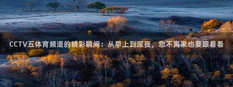 24看球吧直播：CCTV五体育频道的精彩瞬间：从早上到深夜，您不离家也要跟着看